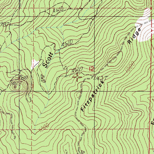Topographic Map of Fitzpatrick Ridge, OR