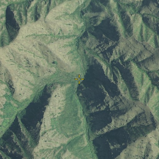 Aerial/Satellite Image of Five Points Creek, OR