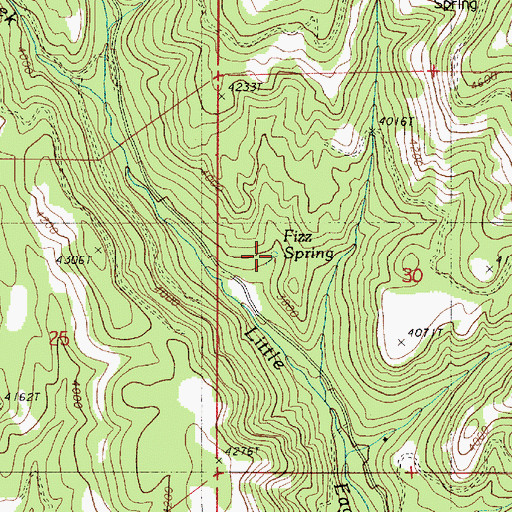 Topographic Map of Fizz Spring, OR