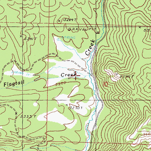 Topographic Map of Flagtail Creek, OR