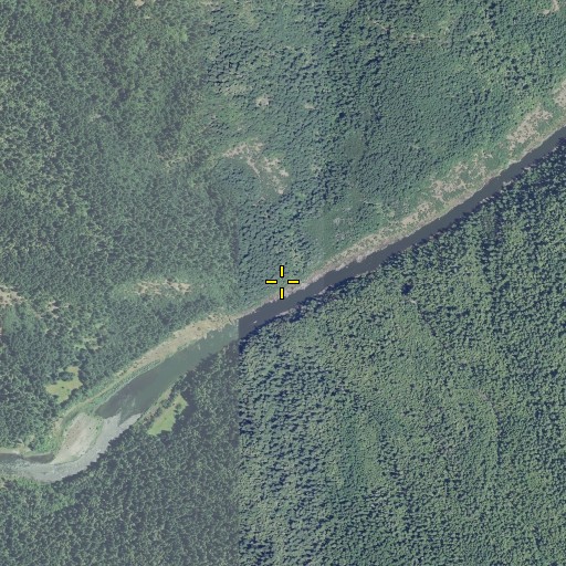 Aerial/Satellite Image of Flea Creek, OR