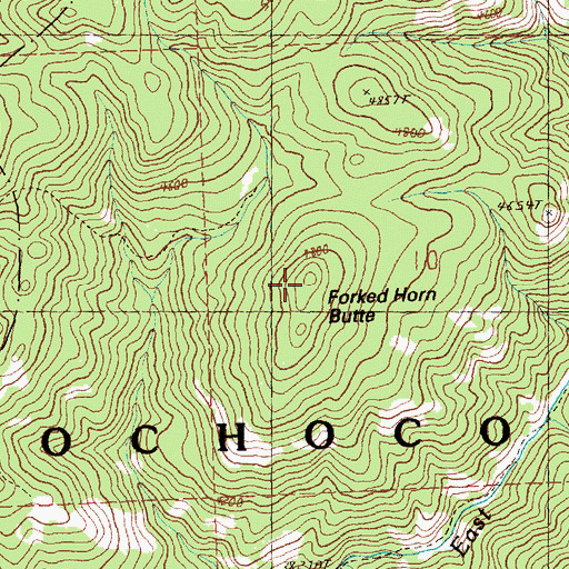 Topographic Map of Forked Horn Butte, OR
