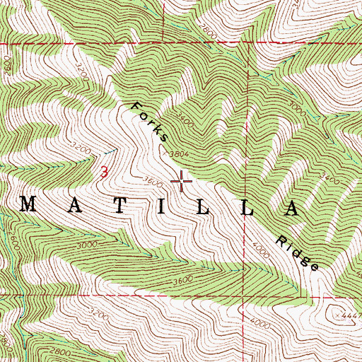 Topographic Map of Forks Ridge, OR