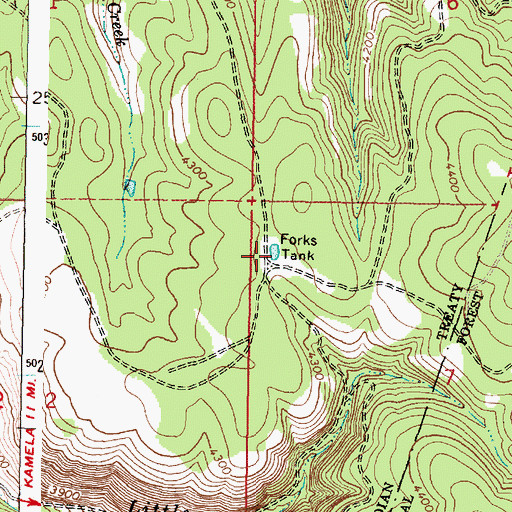 Topographic Map of Forks Tank, OR