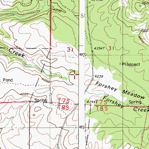 Topographic Map of Forshey Meadow, OR