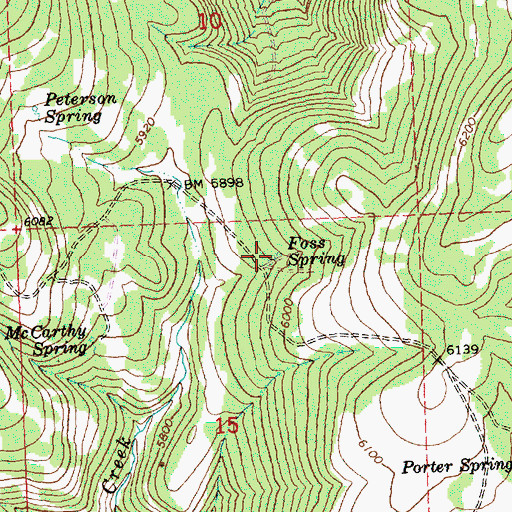 Topographic Map of Foss Spring, OR