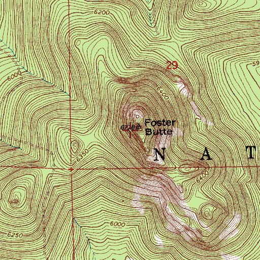 Topographic Map of Foster Butte, OR