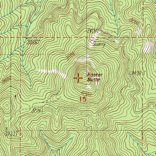Topographic Map of Foster Butte, OR