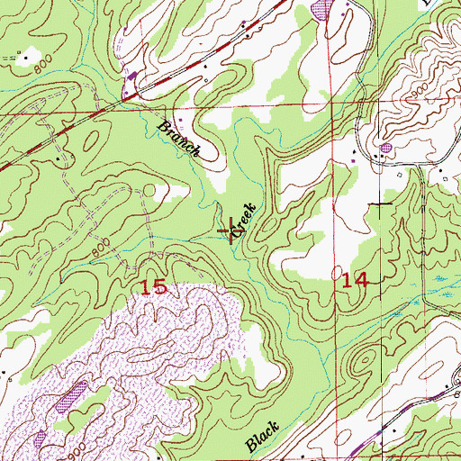 Topographic Map of Big Branch, AL