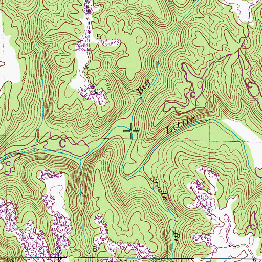 Topographic Map of Big Branch, AL