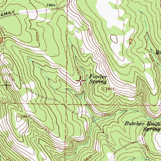 Topographic Map of Fowler Spring, OR