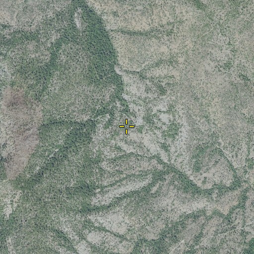 Aerial/Satellite Image of Free and Easy Pass, OR