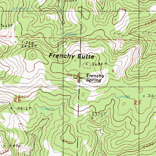 Topographic Map of Frenchy Spring, OR