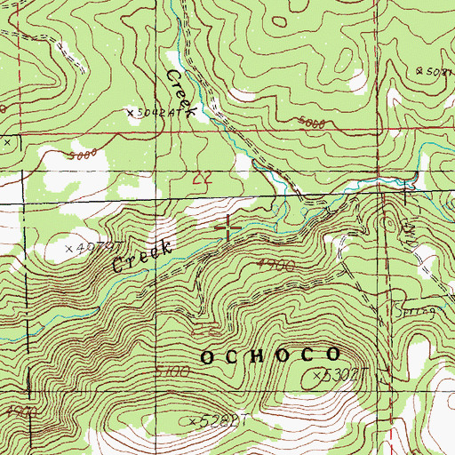 Topographic Map of Friday Creek, OR