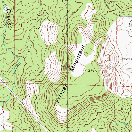 Topographic Map of Frizzel Mountain, OR
