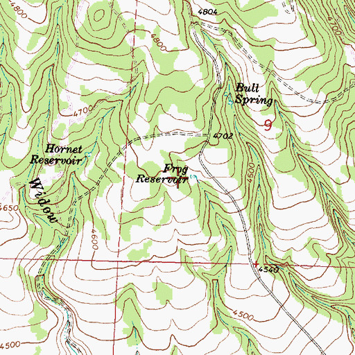 Topographic Map of Frog Reservoir, OR