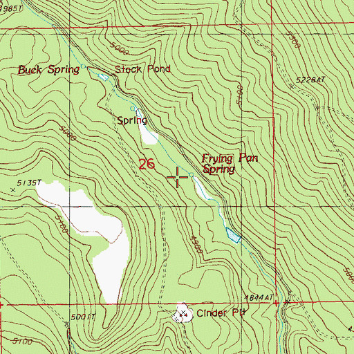 Topographic Map of Frying Pan Spring, OR