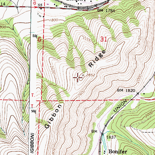 Topographic Map of Gibbon Ridge, OR