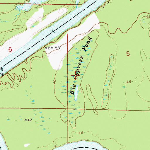 Topographic Map of Big Cypress Pond, AL