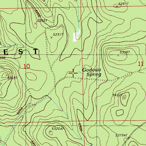 Topographic Map of Godowa Spring, OR