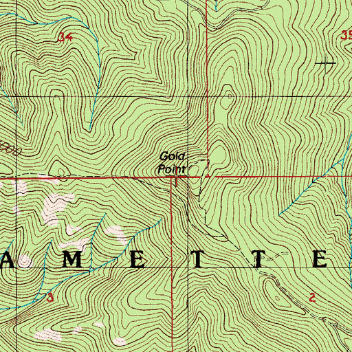Topographic Map of Gold Point, OR
