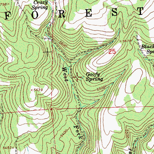 Topographic Map of Goofy Spring, OR