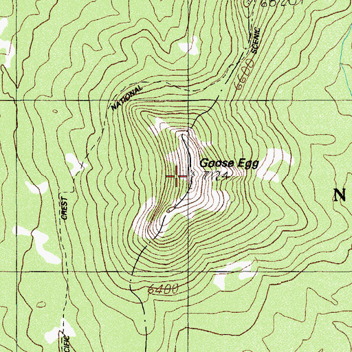 Topographic Map of Goose Egg, OR
