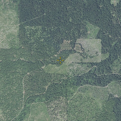 Aerial/Satellite Image of Goss Ranch, OR