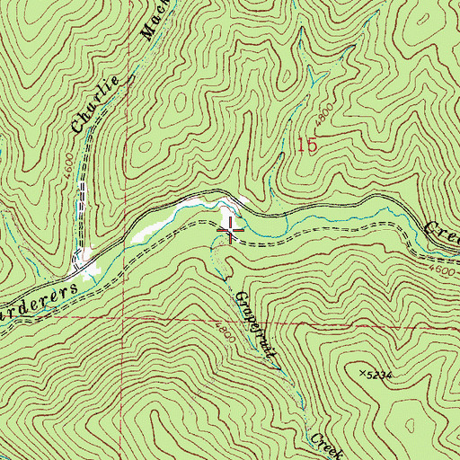 Topographic Map of Grapefruit Creek, OR