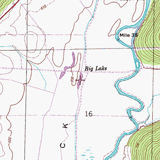 Topographic Map of Big Lake, AL