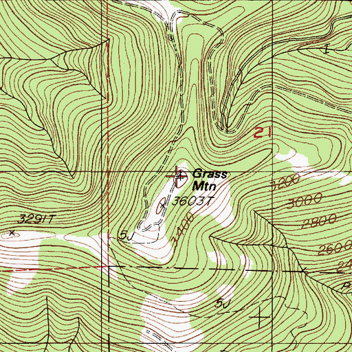 Topographic Map of Grass Mountain, OR