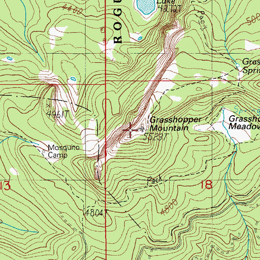 Topographic Map of Grasshopper Mountain, OR