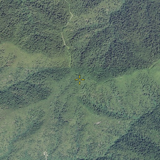 Aerial/Satellite Image of Grassy Knob, OR