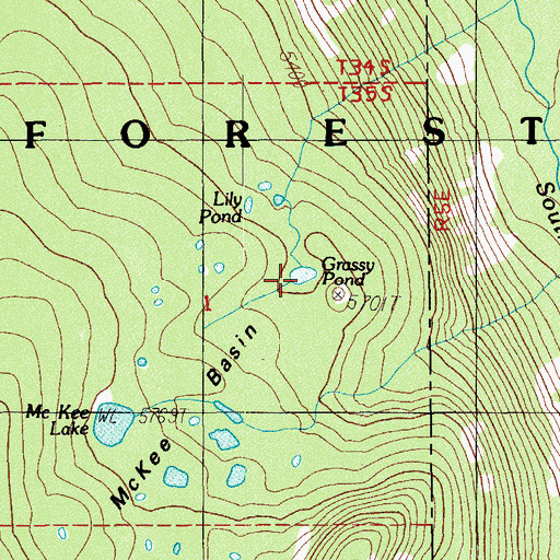 Topographic Map of Grassy Pond, OR
