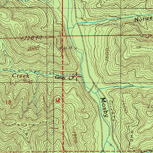 Topographic Map of Gray Creek, OR