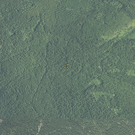 Aerial/Satellite Image of Gypsy Fork, OR