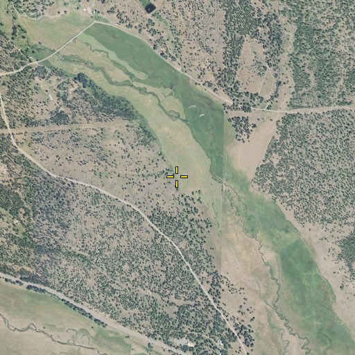 Aerial/Satellite Image of Hale Meadow, OR