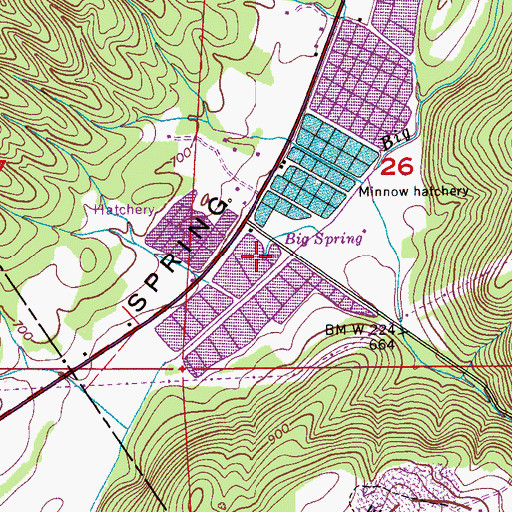 Topographic Map of Big Spring, AL