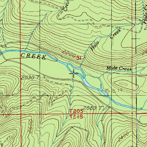 Topographic Map of Halo Creek, OR