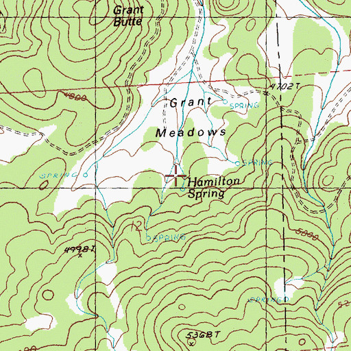 Topographic Map of Hamilton Spring, OR