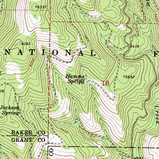 Topographic Map of Hamms Spring, OR