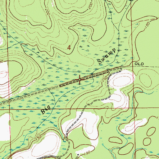 Topographic Map of Big Swamp, AL