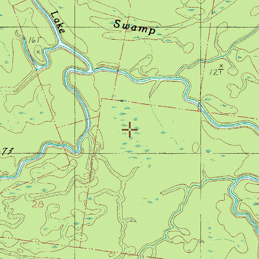 Topographic Map of Big Swamp, AL