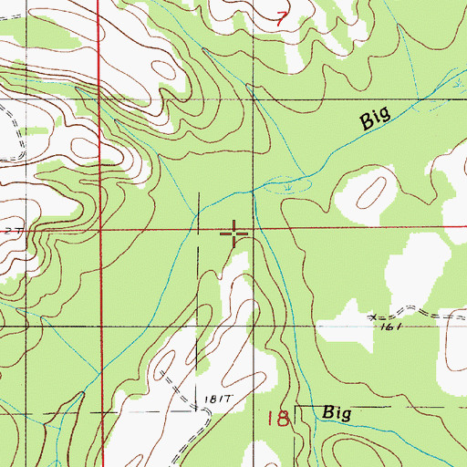 Topographic Map of Big Swamp Branch, AL