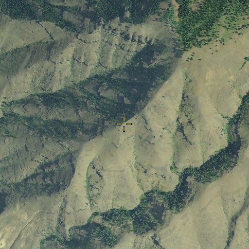 Aerial/Satellite Image of Haystack Rock, OR