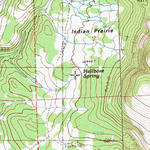Topographic Map of Hellbore Spring, OR