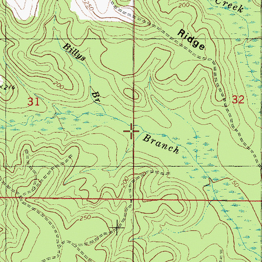 Topographic Map of Billys Branch, AL