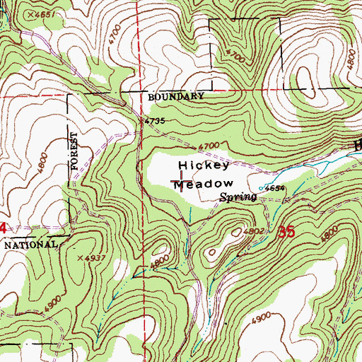 Topographic Map of Hickey Meadow, OR