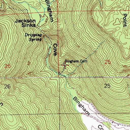 Topographic Map of Bingham Cemetery, AL