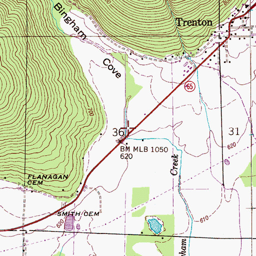 Topographic Map of Bingham Cove, AL